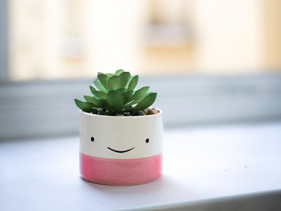 Sonrriza
